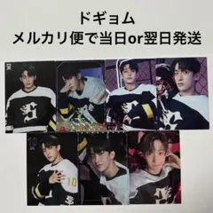 2025 2025 SEVENTEEN's HOME ドギョム トレカ セルカ