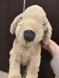 in the room 茶色 犬 ぬいぐるみ ゴールデンレトリバー くたくた