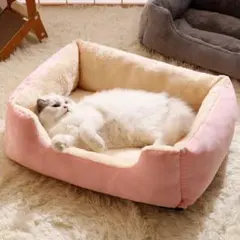 Item thumbnail for item 219c40e3-8905-48bd-8dd8-536fbcb93874