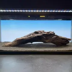 MRW-7514 赤系天然流木レイアウトセット 90cm水槽用流木 アクアリウム