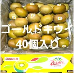 ゴールドキウイ　ニュージーランド産　ゼスプリ 1箱40個入りです。のサムネイル