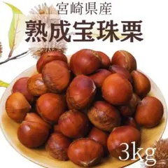 2025年最新】生栗の人気アイテム - メルカリ