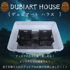 革命的！？デュビアのお家！！のサムネイル
