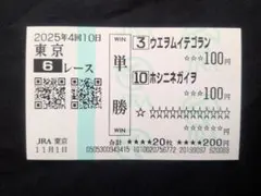 イクイノックス 2023年天皇賞（秋） ジャパンカップ 現地単勝馬券