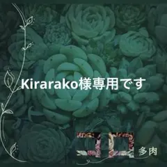 Kirarako様専用です