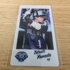 ヤクルトスワローズ スポーツ選手