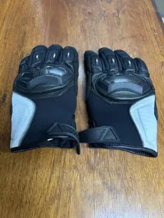 Item thumbnail for item 66107c4f-a885-4c35-a268-343843a14298