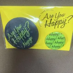 嵐LIVE tour Are you Happy? デニム缶バッチ 緑
