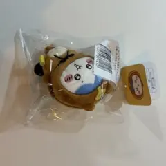 たぬきだもんくじ　ハチワレ