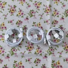 apple 充電ケーブル3本セット