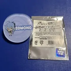 エドモンド　お名前バッジコレクション