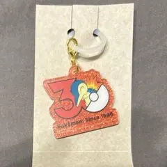 ポケモン ヒノアラシ ポケチャーム 30周年 ロゴマスコット