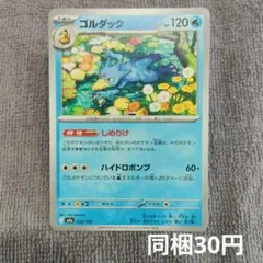 【在庫1】ゴルダック まとめ買いのサムネイル