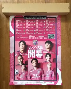 レア☆セレッソ大阪 選手集合新聞 - メルカリ
