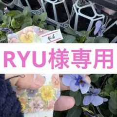 RYU様専用