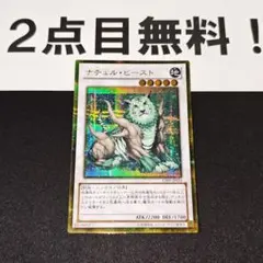2026年最新】ナチュルビースト ゴルシクの人気アイテム - メルカリ