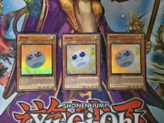 Spore