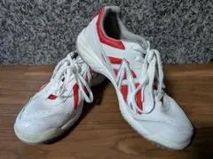 Item thumbnail for item ae8a3b42-32de-48e0-ad33-945f517fa5d6