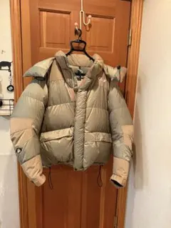 Item thumbnail for item 8029c4c0-270d-4855-854b-20194638c718