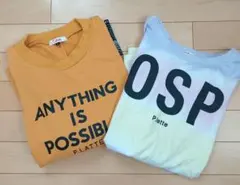 ピンクラテ　カットソー/Tシャツ　二点セットMサイズ　165