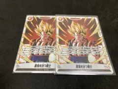 ドラゴンボール フュージョンワールド 悪鬼を討つ戦士 sr 2枚セット