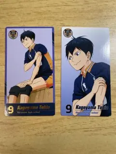 ハイキューゴミ捨て場の決戦展トレーディングチケット風カード 影山飛雄