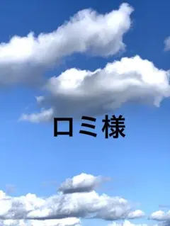ロミ様 リクエスト 3点 まとめ商品