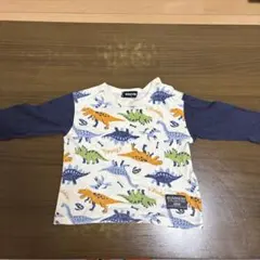 Item thumbnail for item 7f02b055-1318-4468-87c4-934257b87c7c