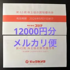 ビックカメラ コジマ 株主優待券 12000円分