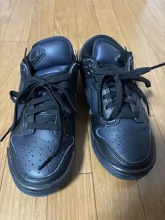 ナイキ ウィメンズ ダンク ロー ツイストDZ2794-400 22.5