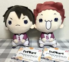 ハイキュー もちぴこぬいぐるみ　牛島若利　天童覚