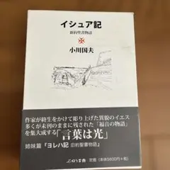 天は赤い河のほとり 全28巻➕イシュタル文書➕外伝3冊セット ※初版本