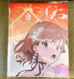 2026年最新】御坂美琴タペストリーの人気アイテム - メルカリ