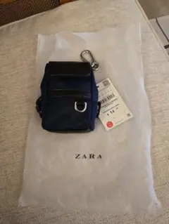 ZARA ミニバックアクセサリー