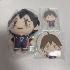 ハイキュー セガラッキーくじ 山口忠