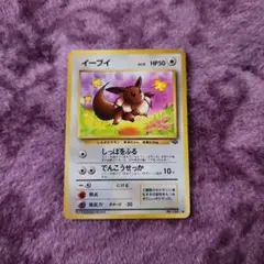 イーブイ ポケモンカード HP50