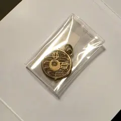 【新品未使用】チャーム 東京ディズニーシー20周年