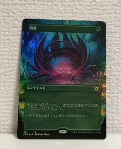 踏査 Exploration JP foil 351 ボーダーレス 2XM