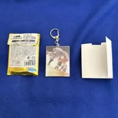 忍たま乱太郎　最強の軍師　トレーディングビジュアルキーホルダー