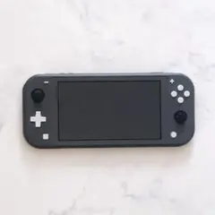 Nintendo Switch Lite グレー 本体 ジャンク