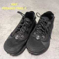 【激レア】NIKE 26.5cm ペガサストレイル2 GORE-TEX