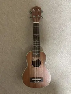 Item thumbnail for item 5de3d4cc-ca20-44b6-9370-7561c6e7a2de