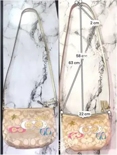 COACH コーチ シグネチャー ミニショルダーバッグ マルチカラー