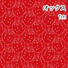 1m いちご レッド オックス