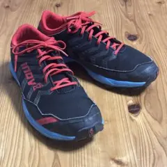 Item thumbnail for item c2886411-9ca1-4e88-9e71-6f02db8b9b09