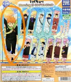 Morningガーランドコレクション(日向翔陽)