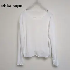 エヘカソポ カットソー　長袖　透け感　カジュアル【フリーサイズ】