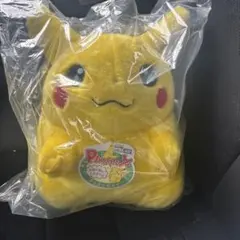 ポケットモンスター ポケモン30周年 おかえりピカチュウ 1/1