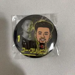 群馬クレインサンダーズ コーフリッピン 缶バッジ