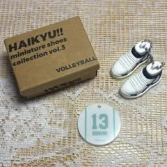 ハイキュー ミニチュアシューズコレクション vol.3 国見英 青葉城西